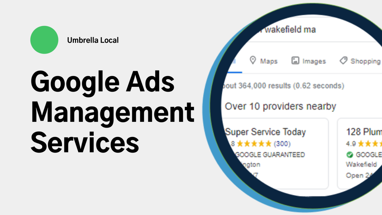  The image is a screenshot of Google search results for 'Google Ads management tools'. The results show a list of companies offering Google Ads management services.
